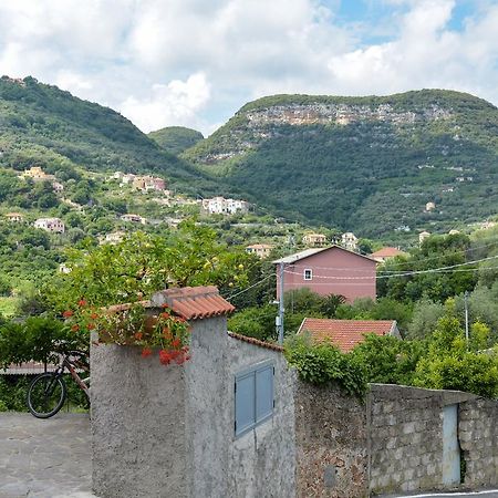 Al Riparo Affittacamere Finale Ligure Eksteriør billede